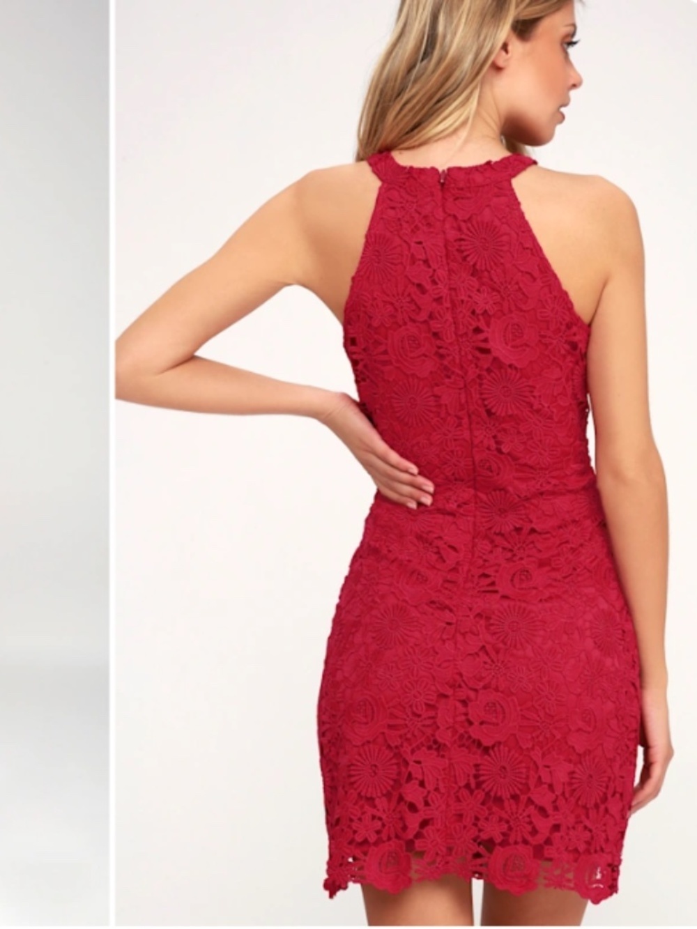 LULU's Prom Sexy Flowers Floral Chic Wedding Formal Event Embroidered Mini Dress - Picture 4 of 5